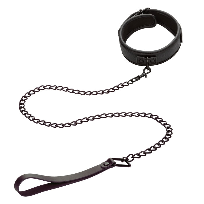 NOCTURNAL COLLECTION COLLAR & LEASH