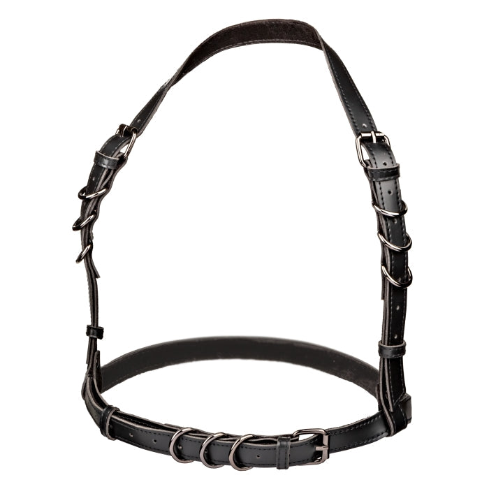 HARNESS BLACK EUPHORIA COLLECTION HALTER BUCKLE
