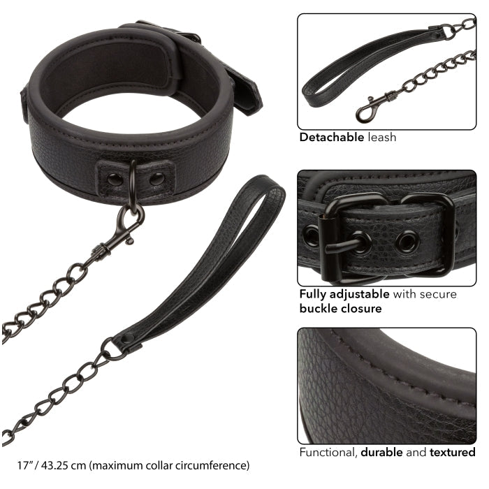 NOCTURNAL COLLECTION COLLAR & LEASH