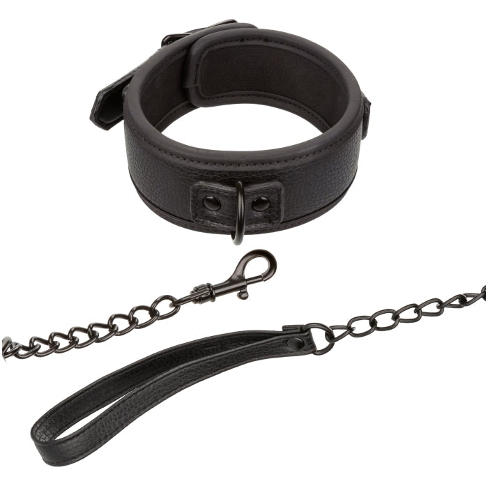 NOCTURNAL COLLECTION COLLAR & LEASH
