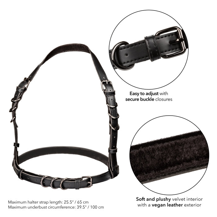 HARNESS BLACK EUPHORIA COLLECTION HALTER BUCKLE