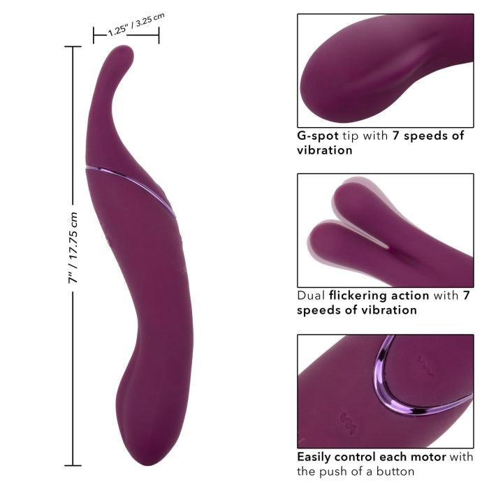 TEMPT & TEASE SASS - PUPLE