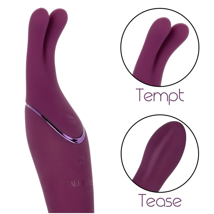 TEMPT & TEASE SASS - PUPLE